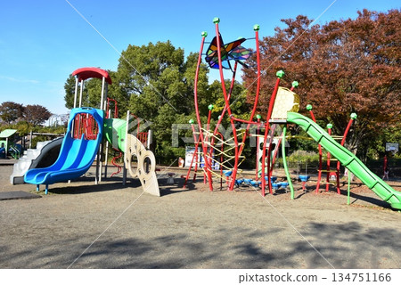 神奈川縣：相模原淺溝公園的兒童遊樂場、遊樂設施和秋葉 134751166