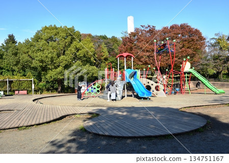 神奈川縣:相模原淺溝公園的兒童遊樂場、遊樂設施和秋葉 神奈川縣:相模原淺溝公園的兒童遊樂場、遊樂設施和秋葉 134751167