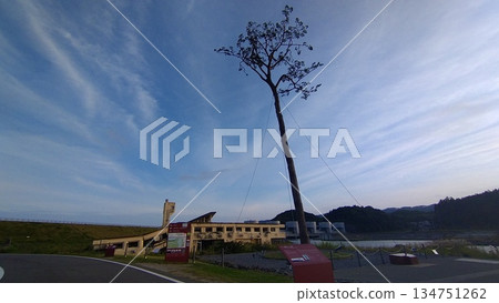 Miracle Pine Tree at Dusk in Autumn Miracle Pine Tree at Dusk in Autumn 134751262