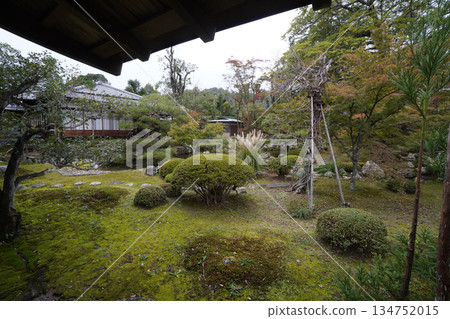 京都大覺寺內的花園 134752015