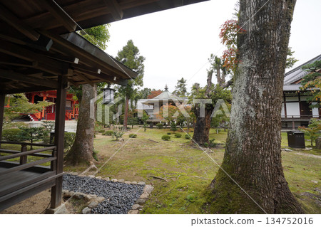 京都大覺寺內的花園 134752016