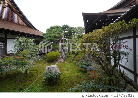 京都大覺寺內的花園 京都大覺寺內的花園 134752022