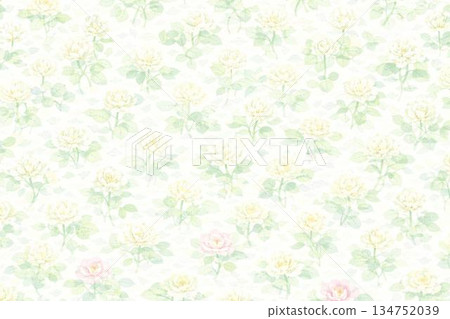 背景素材：白三葉草 134752039