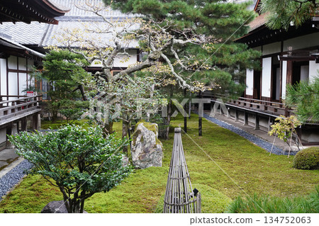 Scenery of the grounds of Daikakuji Temple, Kyoto 134752063