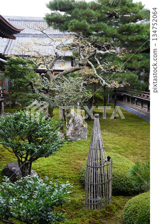 Scenery of the grounds of Daikakuji Temple, Kyoto 134752064