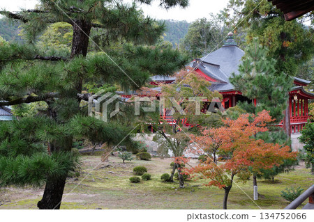 Scenery of the grounds of Daikakuji Temple, Kyoto Scenery of the grounds of Daikakuji Temple, Kyoto 134752066