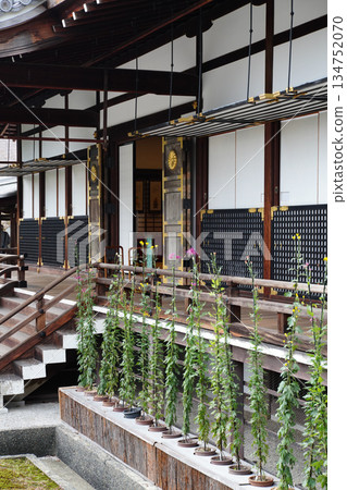 Scenery of the grounds of Daikakuji Temple, Kyoto 134752070