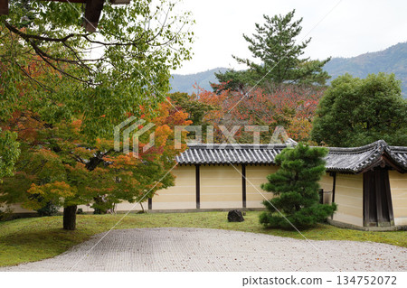 京都大覺寺寺院景色 京都大覺寺寺院景色 134752072