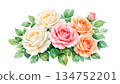 watercolor set of rose and leaves 134752201