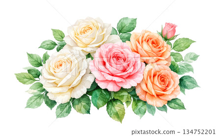watercolor set of rose and leaves watercolor set of rose and leaves 134752201