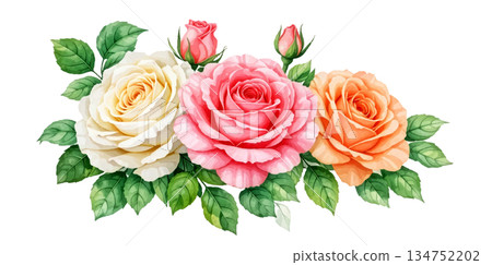 watercolor rose with leaves and rose 134752202