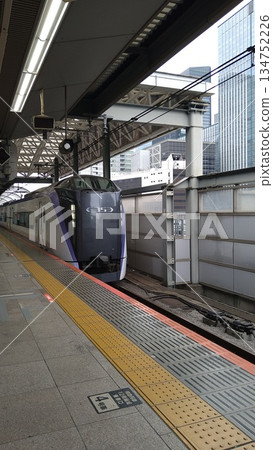 E353系列列車駛入東京車站 E353系列列車駛入東京車站 134752226
