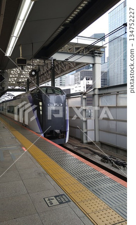 E353 series train entering Tokyo Station E353 series train entering Tokyo Station 134752227
