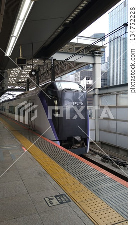 E353 series train entering Tokyo Station E353 series train entering Tokyo Station 134752228