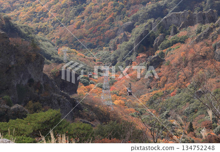 Shodoshima in late autumn, ropeway gondola passing through the autumn leaves of Kankakei Gorge 134752248