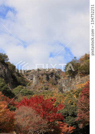 小豆島的深秋,寒霞溪峽谷的秋葉(從寒霞溪索道的昆亭站出發) 小豆島的深秋,寒霞溪峽谷的秋葉(從寒霞溪索道的昆亭站出發) 134752251