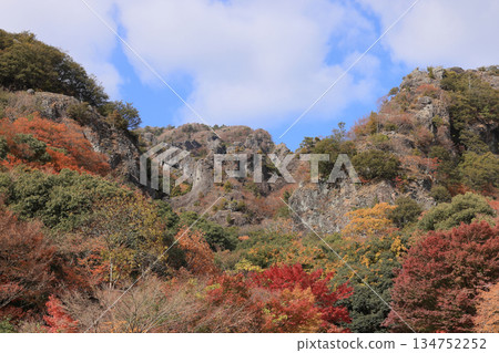 小豆島的深秋,寒霞溪峽谷的秋葉(從寒霞溪索道的昆亭站出發) 小豆島的深秋,寒霞溪峽谷的秋葉(從寒霞溪索道的昆亭站出發) 134752252