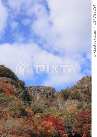 小豆島的深秋,寒霞溪峽谷的秋葉(從寒霞溪索道的昆亭站出發) 小豆島的深秋,寒霞溪峽谷的秋葉(從寒霞溪索道的昆亭站出發) 134752254