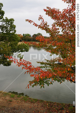 Autumn scenery of Osawa Pond at Daikakuji Temple in Kyoto Autumn scenery of Osawa Pond at Daikakuji Temple in Kyoto 134752669