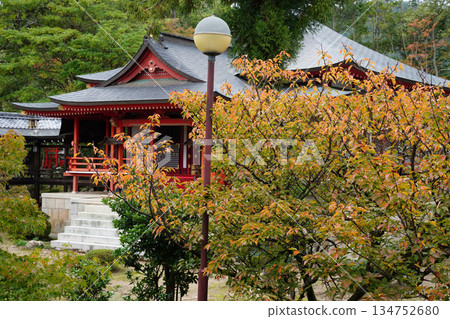 京都大覺寺寺院景色 京都大覺寺寺院景色 134752680