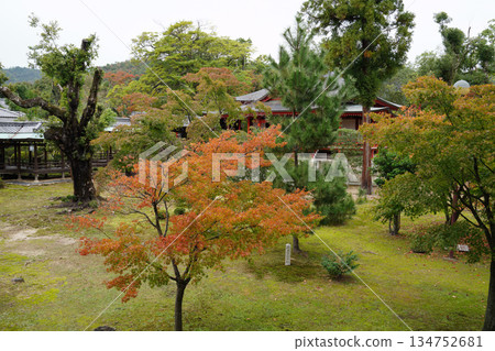 京都大覺寺寺院景色 京都大覺寺寺院景色 134752681