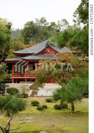 京都大覺寺寺院景色 京都大覺寺寺院景色 134752683
