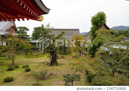 京都大覺寺寺院景色 134752688