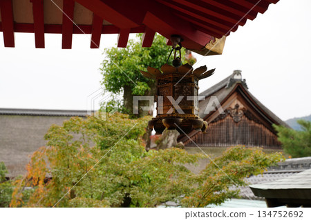 京都大覺寺寺院景色 134752692