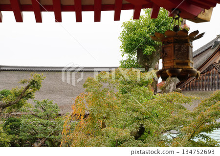 Scenery of the grounds of Daikakuji Temple, Kyoto Scenery of the grounds of Daikakuji Temple, Kyoto 134752693
