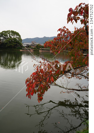 京都大覺寺大澤池的秋景 京都大覺寺大澤池的秋景 134752702