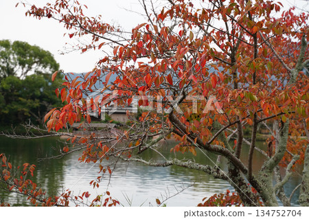 Autumn scenery of Osawa Pond at Daikakuji Temple in Kyoto Autumn scenery of Osawa Pond at Daikakuji Temple in Kyoto 134752704