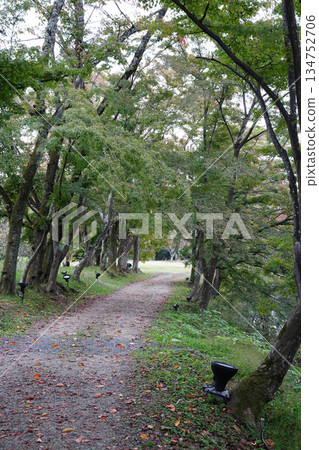 京都大覺寺大澤池畔步道 京都大覺寺大澤池畔步道 134752706