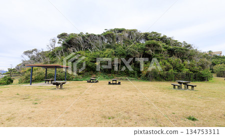 三浦半島荒崎公園的冬季 134753311