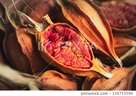 Gardenia fruit 134753594