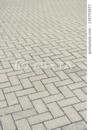 An intricate and artistic paver design for outdoor spaces is being featured, showcasing a modern aesthetic combined with beautifully textured surface patterns that enhance the overall appearance 134753837