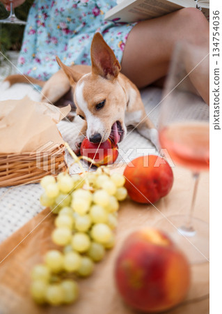 A Playful Dog Happily Enjoying a Picnic in the Garden Surrounded by Fruits and Wine A Playful Dog Happily Enjoying a Picnic in the Garden Surrounded by Fruits and Wine 134754036