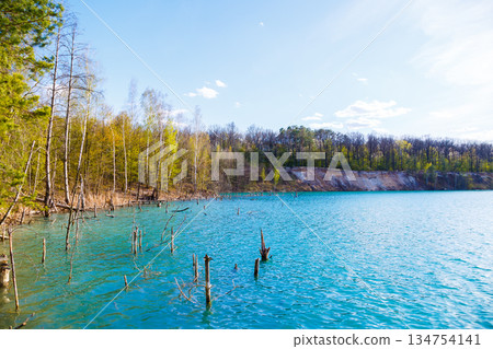 A pixelated image depicting a serene lake, surrounded by trees in the background A pixelated image depicting a serene lake, surrounded by trees in the background 134754141