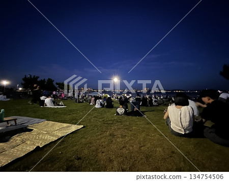 Chita City Shinmaiko Fireworks Festival Chita City Shinmaiko Fireworks Festival 134754506