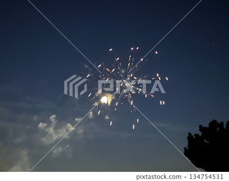 Chita City Shinmaiko Fireworks Festival Chita City Shinmaiko Fireworks Festival 134754531