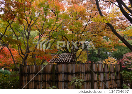 Azumaya wrapped in autumn leaves 134754697