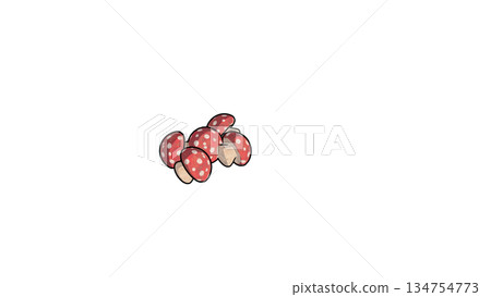 red mushroom illustration 134754773