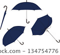 umbrella 134754776