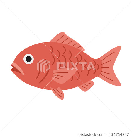 吉祥的紅鯛魚插圖圖標 134754857