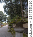 Usa Shrine, approach, stone lantern, Usa City 134755110