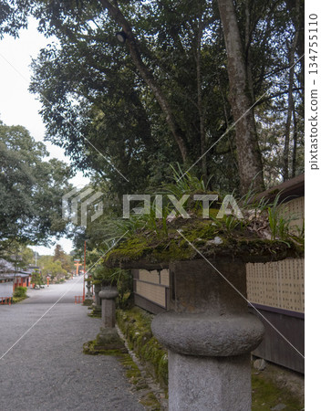 美國神社，入口，石燈籠，美國城 134755110