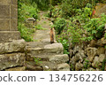 景觀與樓梯 134756226