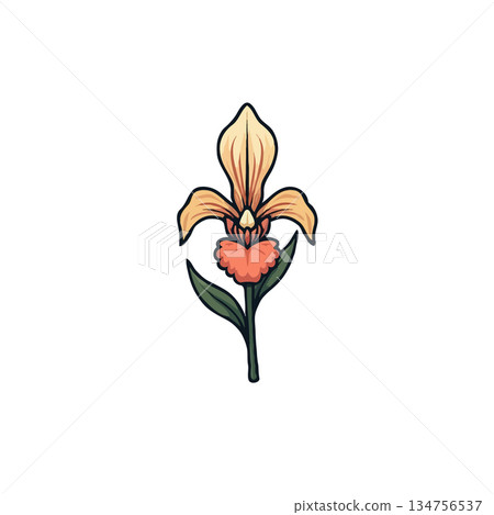 Elegant stylized botanical illustration depicting a peach orchid with detailed outlines and subtle Elegant stylized botanical illustration depicting a peach orchid with detailed outlines and subtle 134756537
