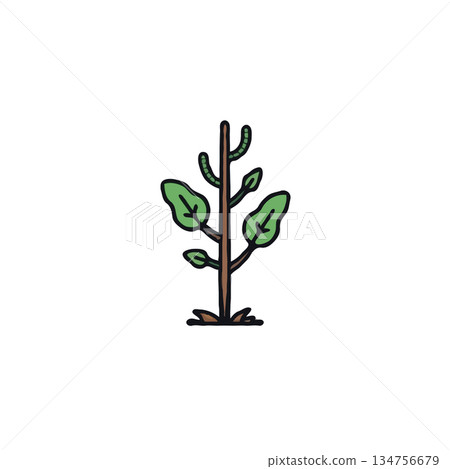Delicate plant illustration showcasing a small botanical arrangement against a stark white Delicate plant illustration showcasing a small botanical arrangement against a stark white 134756679