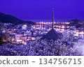 Onomichi during the magic hour when cherry blossoms bloom 134756715
