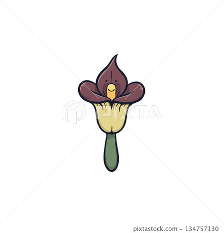 Whimsical cartoon flower character design with expressive face showcasing unique botanical art 134757130